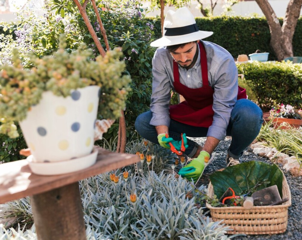 Best Professional Landscaping Services in Fort Bragg, CA