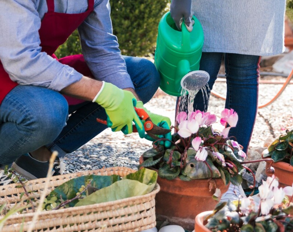 Professional Landscaping Services in Fort Bragg, CA
