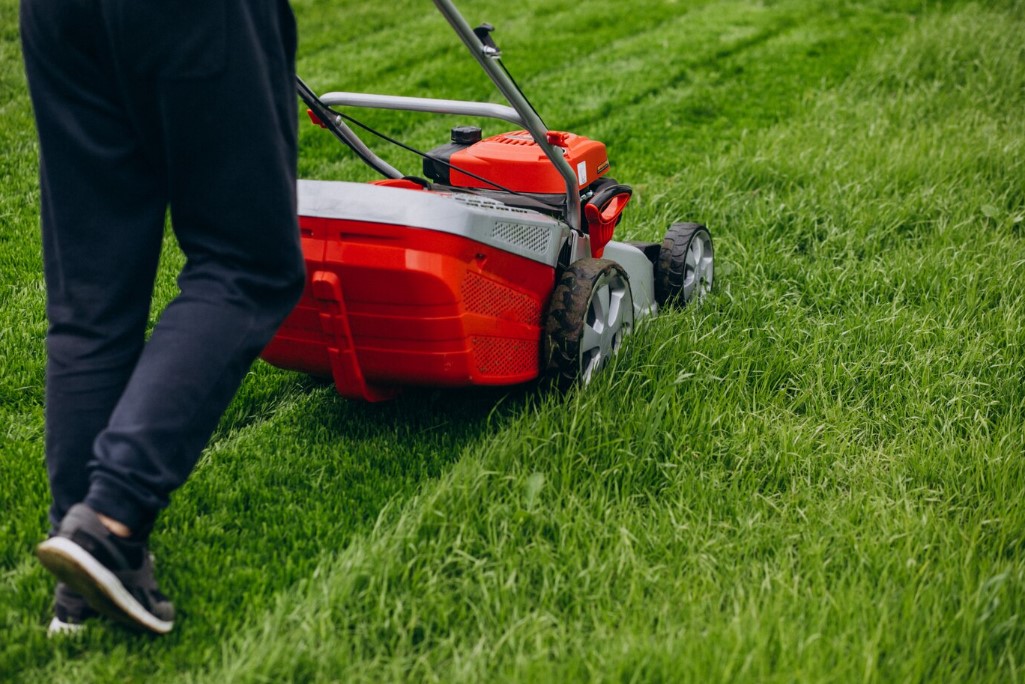 Best Reliable Lawn Care Service​ in Fort Bragg CA