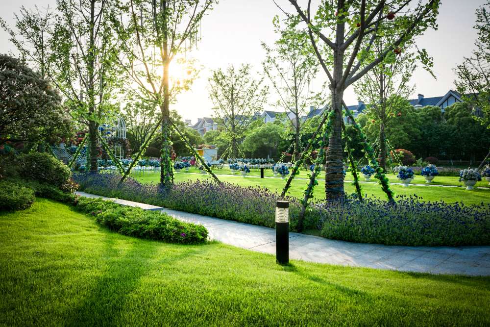 Expert Landscaping Services In Fort Bragg, CA