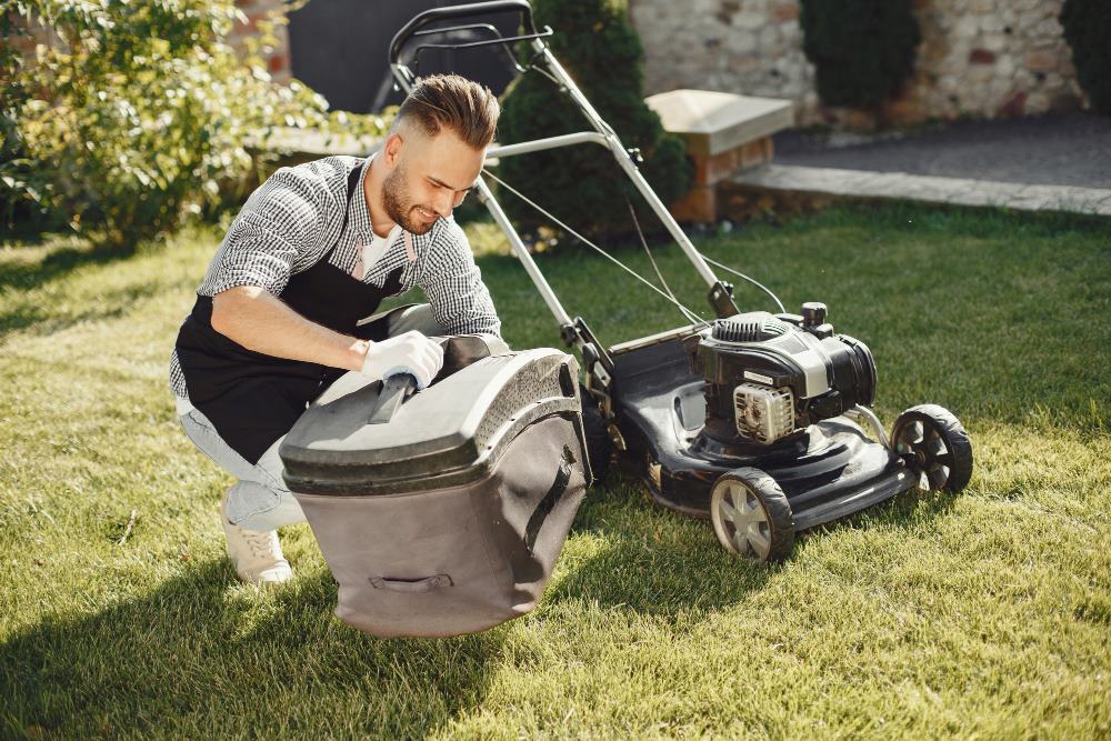 Best Lawn Care Services in Fort Bragg, CA