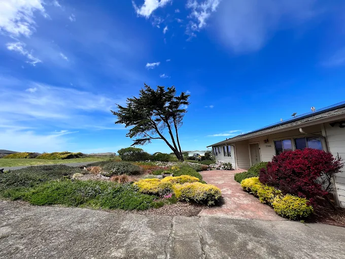 Affordable Landscaping Services in Fort Bragg, CA