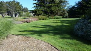 Summer Lawn Maintenance Guide for Fort Bragg Residents