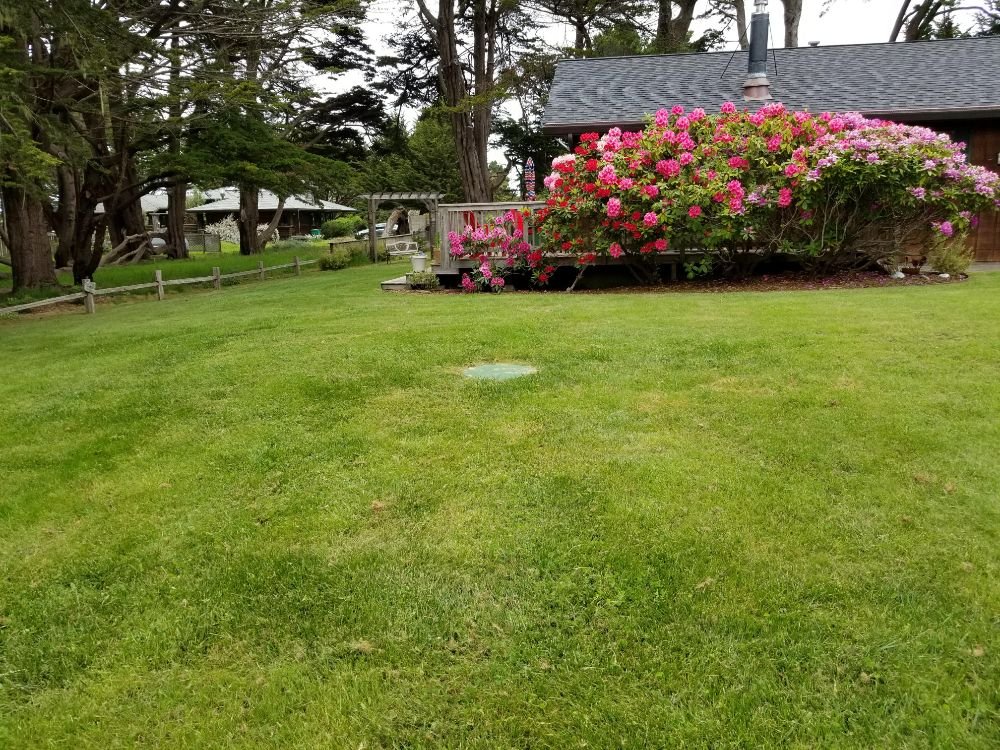 Summer Lawn Maintenance Guide for Fort Bragg Residents

