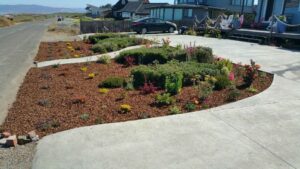 Why Hire a Local Landscaper in Fort Bragg, CA for Lawn Care and Yard Clean-Up