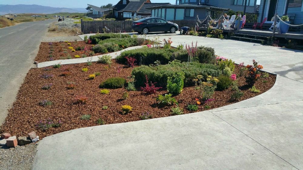 Why Hire a Local Landscaper in Fort Bragg, CA for Lawn Care and Yard Clean-Up
