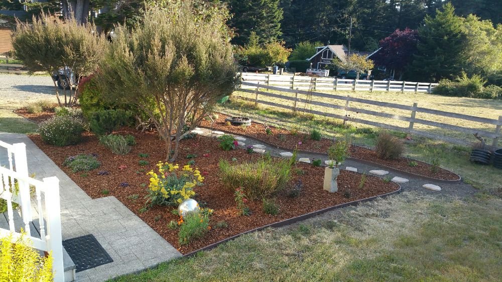 Professional Lawn Care Company in Fort Bragg, CA | Barrera's Oceanfront
