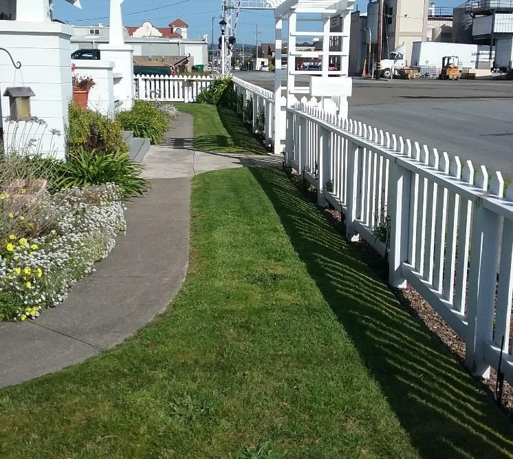 Professional Lawn Care Company in Fort Bragg, CA | Barrera's Oceanfront