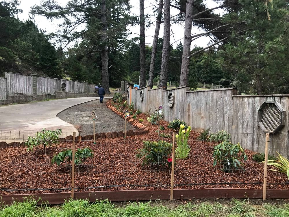 Lawn Care Services in Fort Bragg, CA | Barrera’s Oceanfront