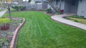 Lawn Care Services in Fort Bragg, CA | Barrera’s Oceanfront