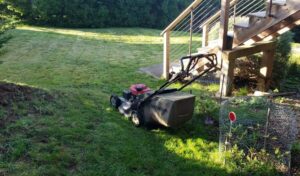 How Often to Schedule Lawn Maintenance in Fort Bragg, CA
