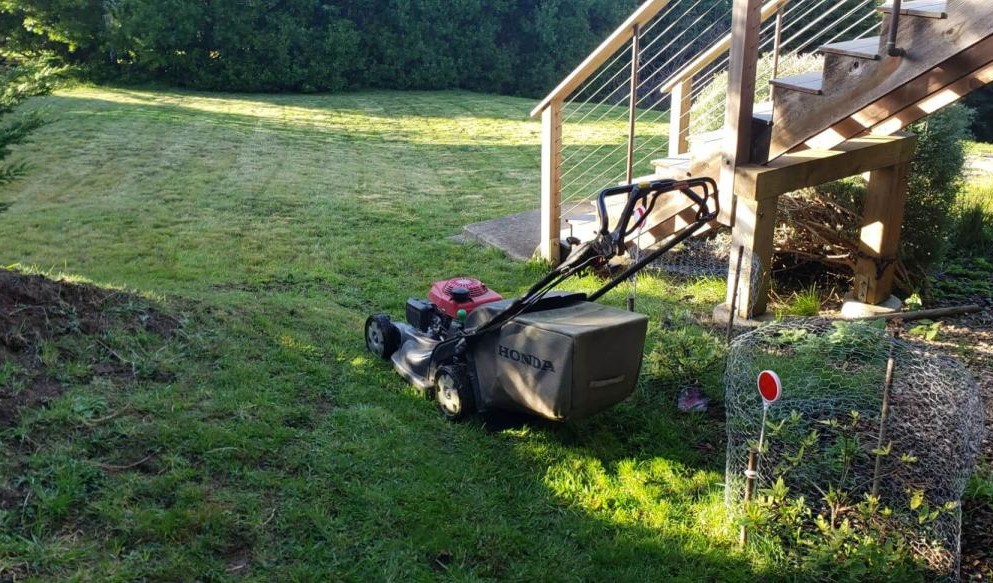 How Often to Schedule Lawn Maintenance in Fort Bragg, CA