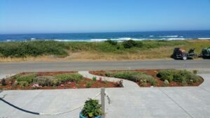 Coastal Landscaping in Fort Bragg, CA: Weather Tips & Care